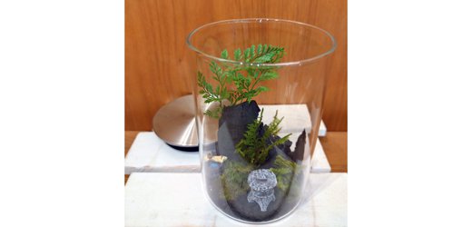 炭と紀州苔と植物で作る苔のテラリウム〈パルシェ校〉