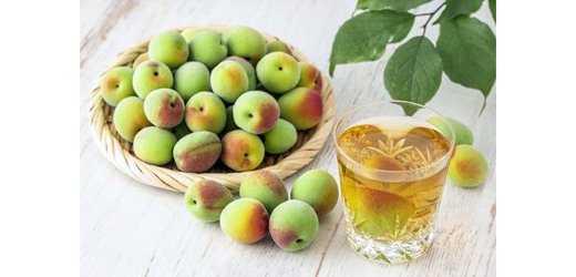 「梅の酵素ジュース」醗酵と酵素と健康〈浜松校〉