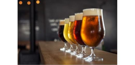 クラフトビールを味わう〈浜松校〉