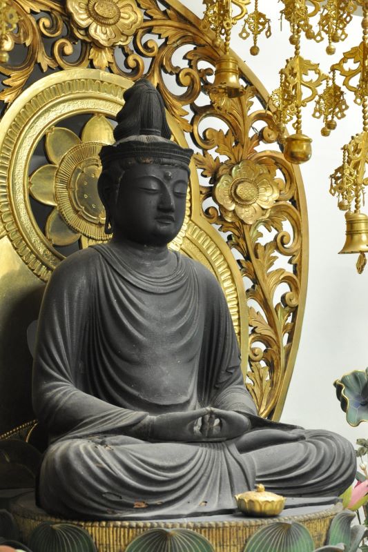 �É����Ŗ����ޕ����߂���q���w�r