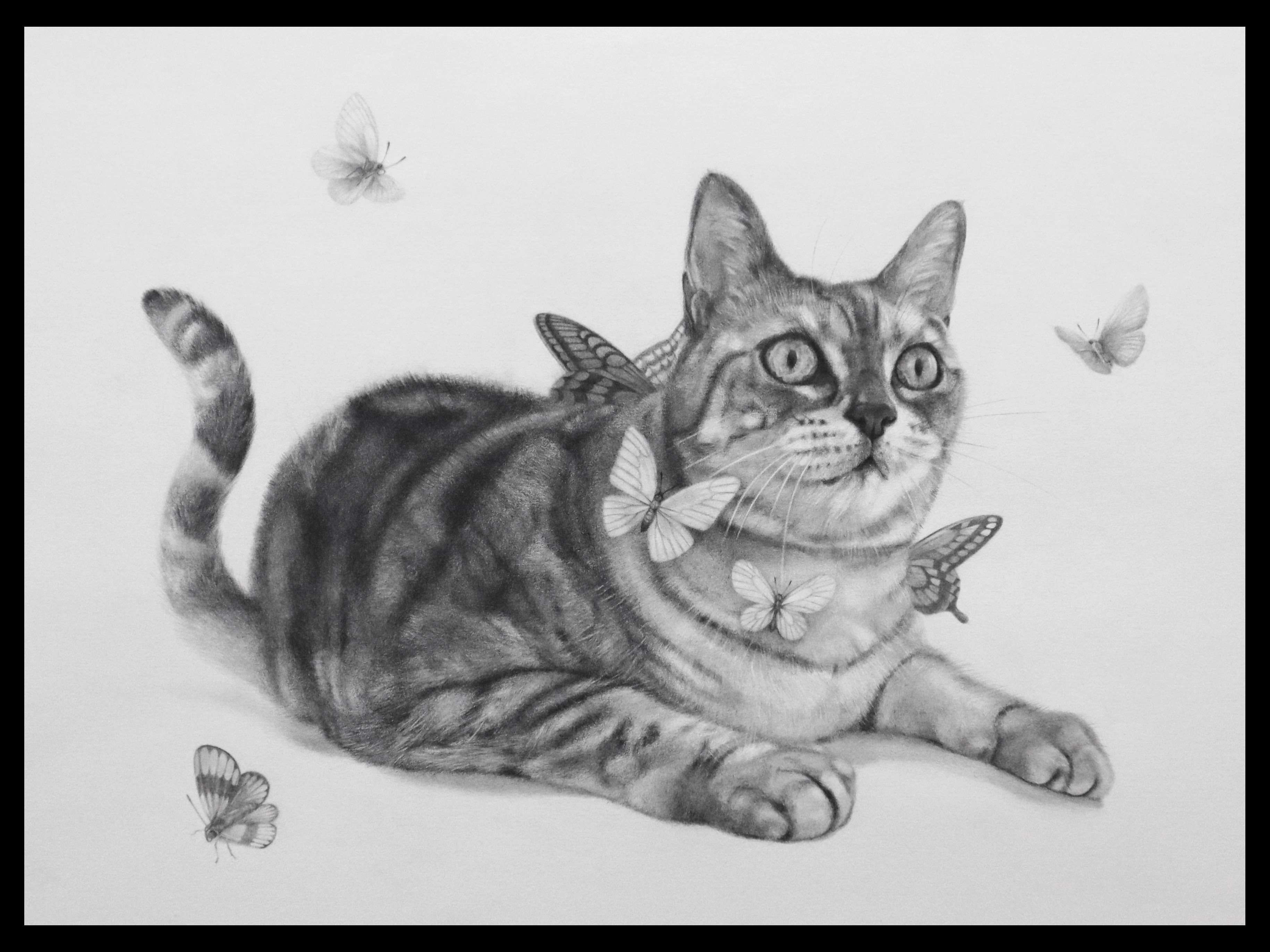 �����R���̉��M�f�b�T�����ߑO��