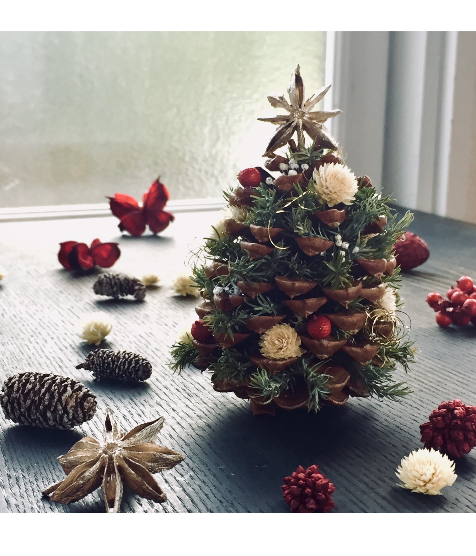 image_6483441 (5).JPG