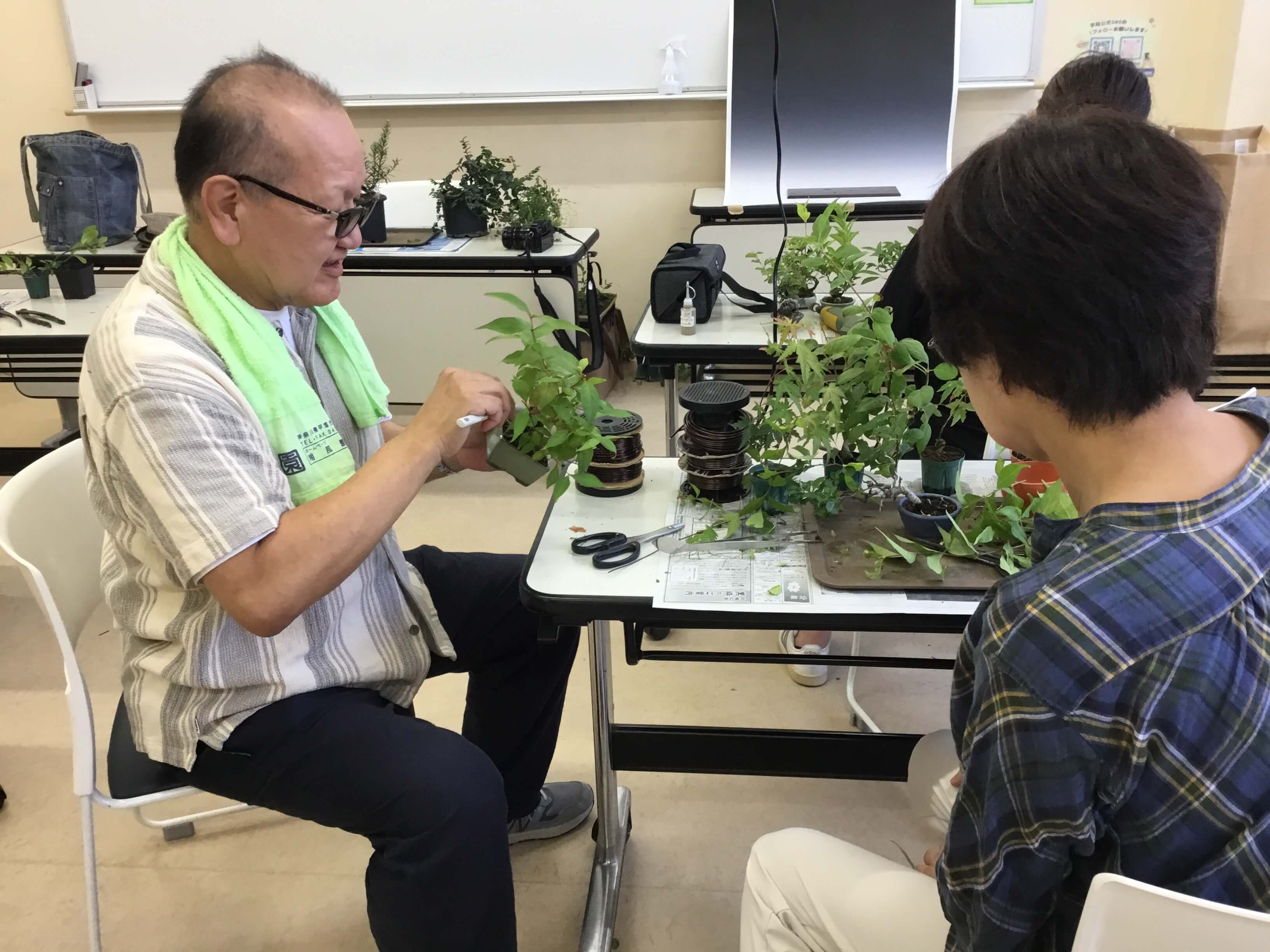 ミニ盆栽 | SBS学苑 | 学ぶ感動、知る興奮 - 静岡・浜松・沼津のカルチャースクール