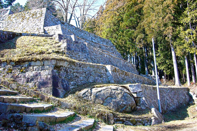 ���������������{�̏�q�p���V�F�Z���w�r