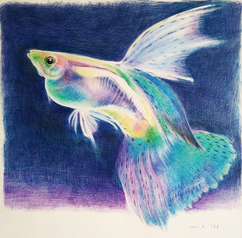 やさしい油性色えんぴつ画 | SBS学苑 | 学ぶ感動、知る興奮 - 静岡