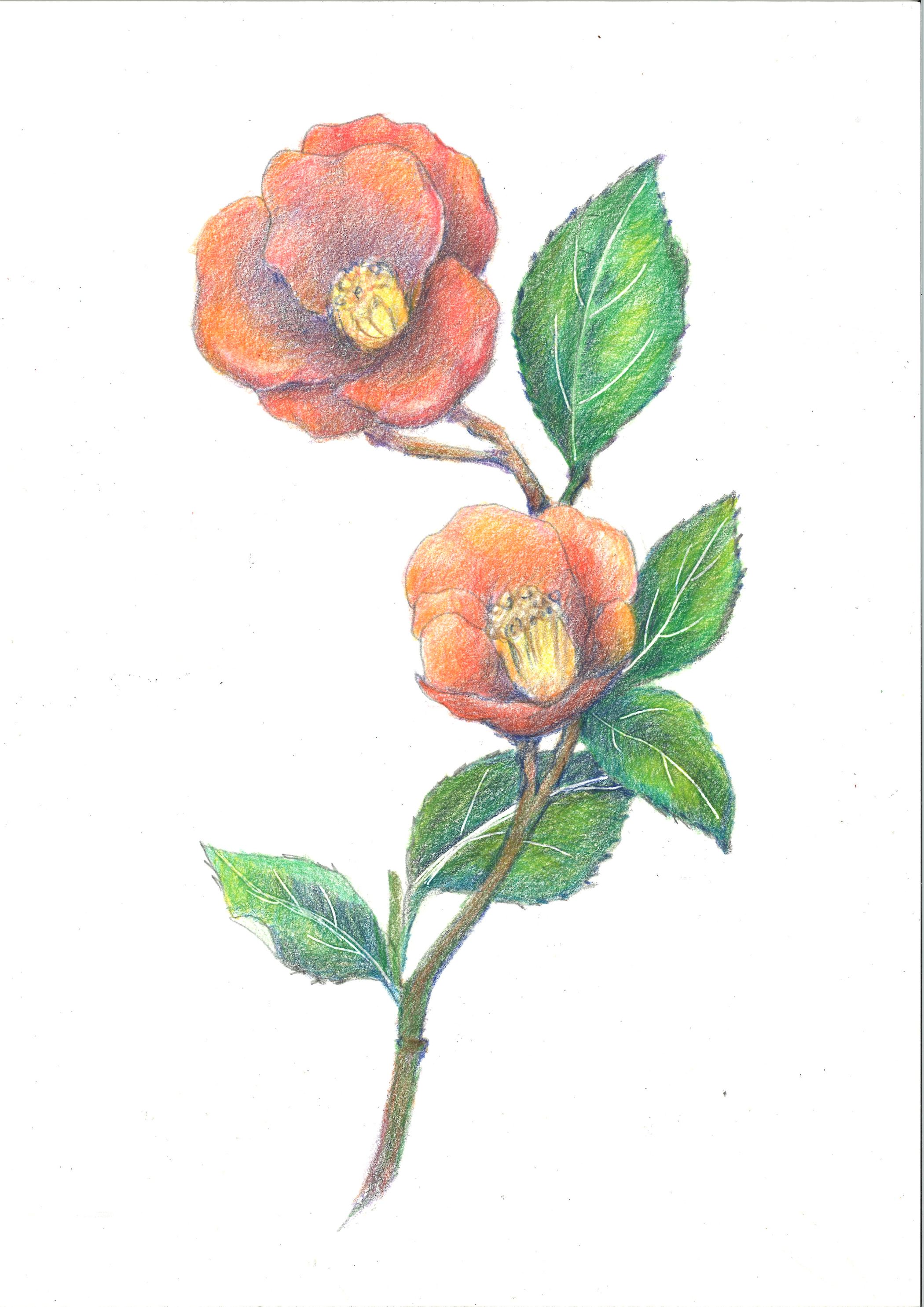 �F���M�Ŋy�����`����(3/18)