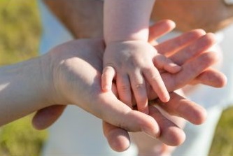 �y�|��z���B�Ⴊ���H���x���m�擾�u���i3/29�j