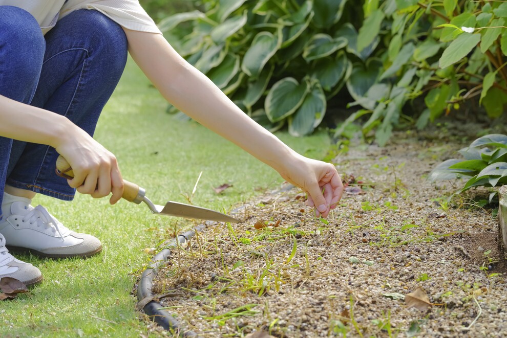 �낵���Ƃ̏펯�𕢂��I�G���̂Ȃ�قǂPday���b�X���q���w�r