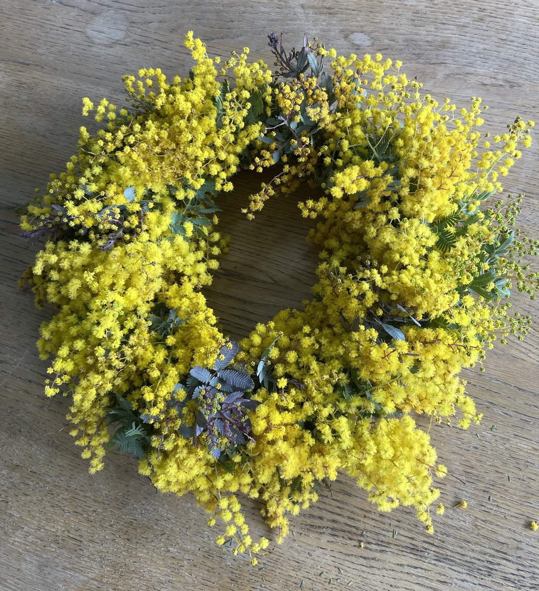 �y�x�m�z�~���U�̃��[�X�i2/26�j