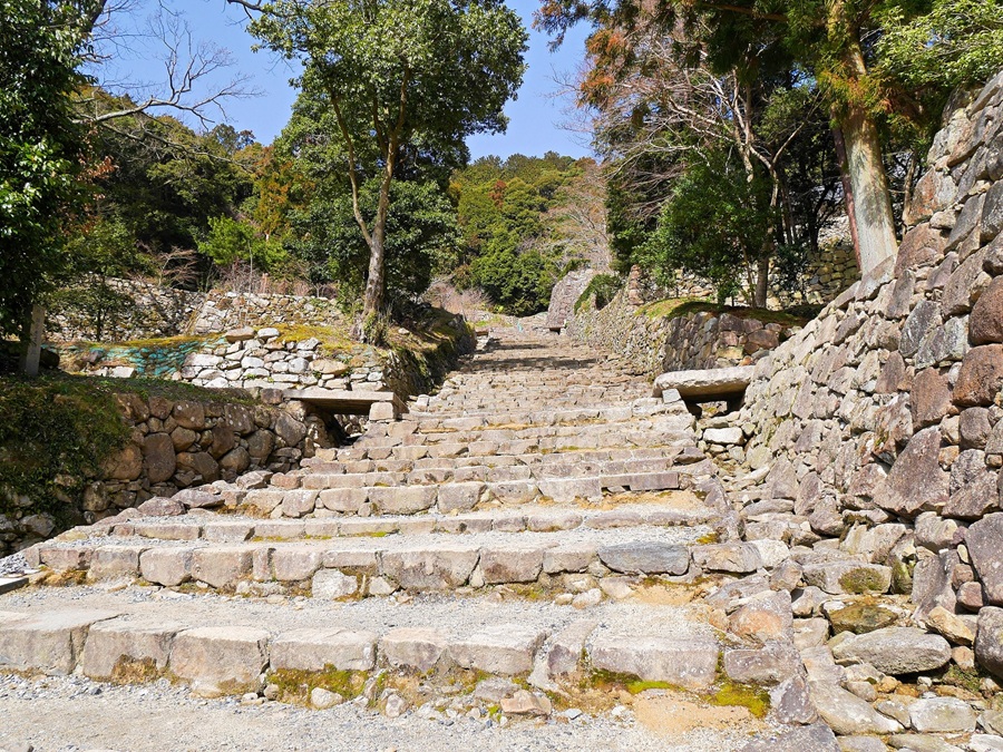 �y�o�X�c�A�[�F�l�������z�������֍s�����I���y��