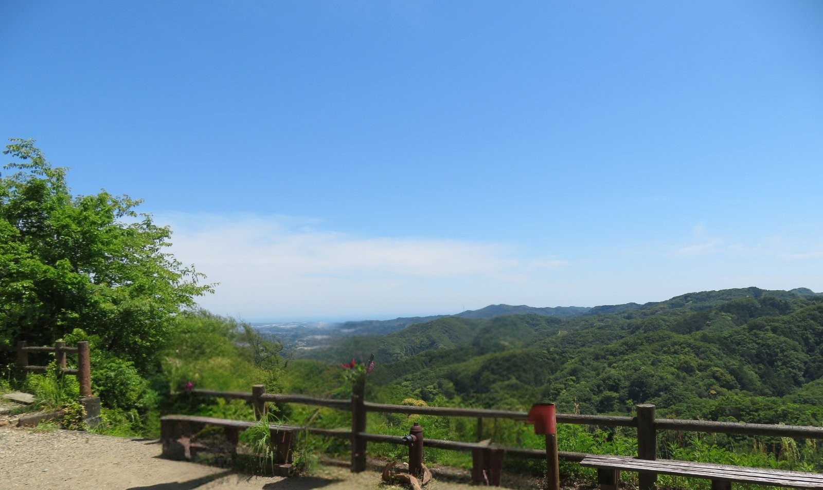 �y�|��z�������n�߂�R�o��(3/28)