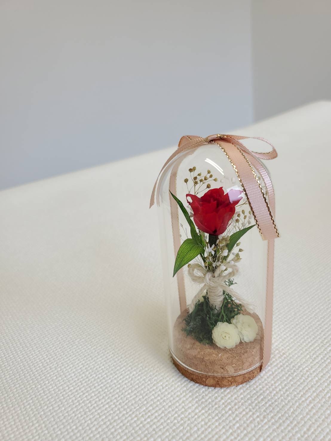 �v���U�[�u�h�t�����[�A�����W�m�����n