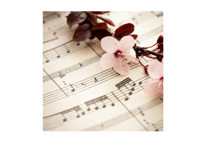 ��l�̃{�C�X�g���[�j���O
