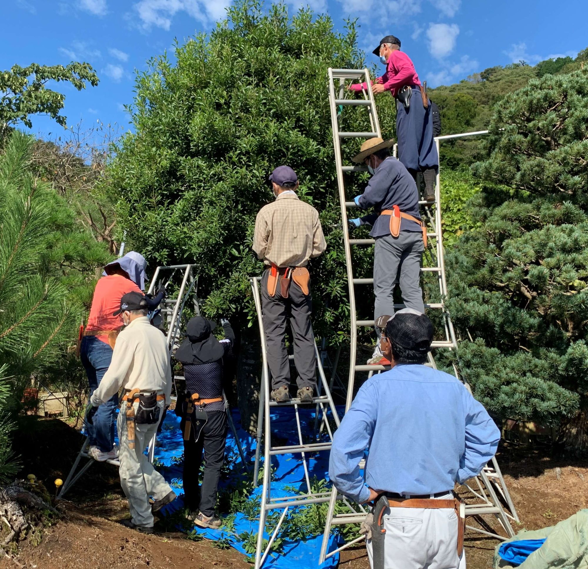 ��؂̎����