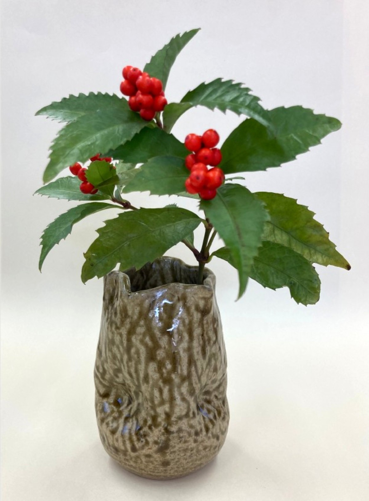 �͂��߂Ă̓��|�`��т˂�ŉԕr�Â���`