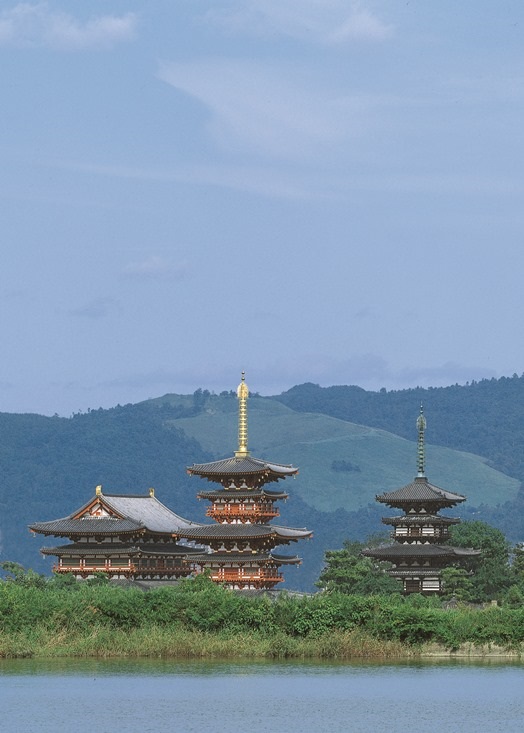 ��t���@�ʎ�S�o�̂��ʌo