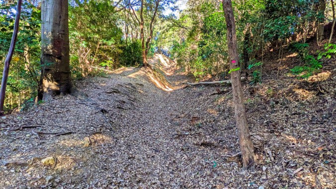 �������E���V�_��