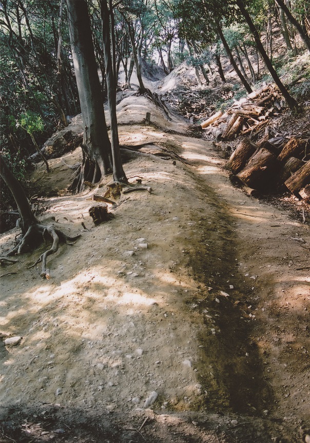 ���V�_��_���x�̓y�� �T�C�Y��.jpg