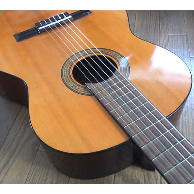 �y�̌��z�M�^�[���b�X��