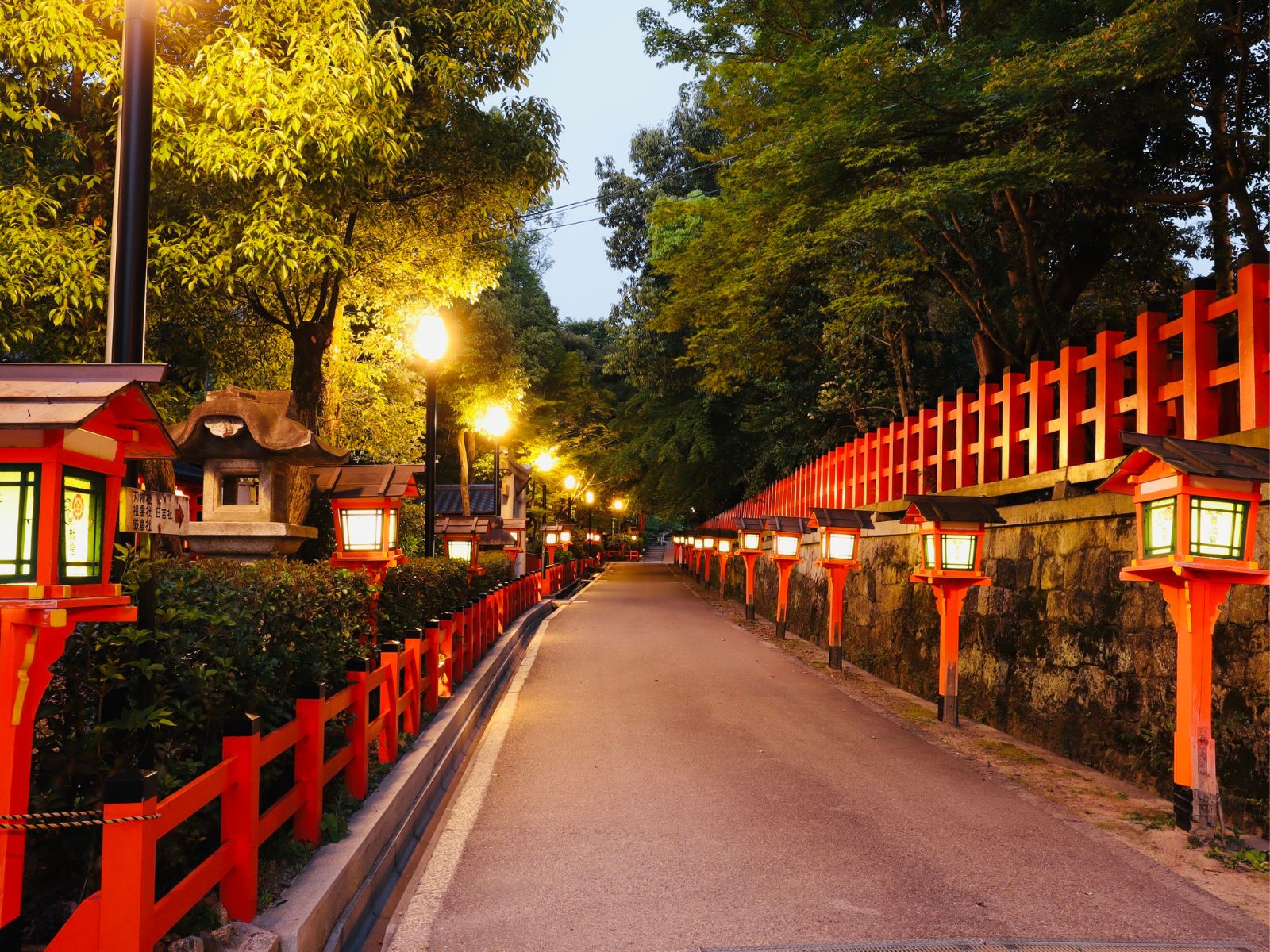 �y4�����z���s�w