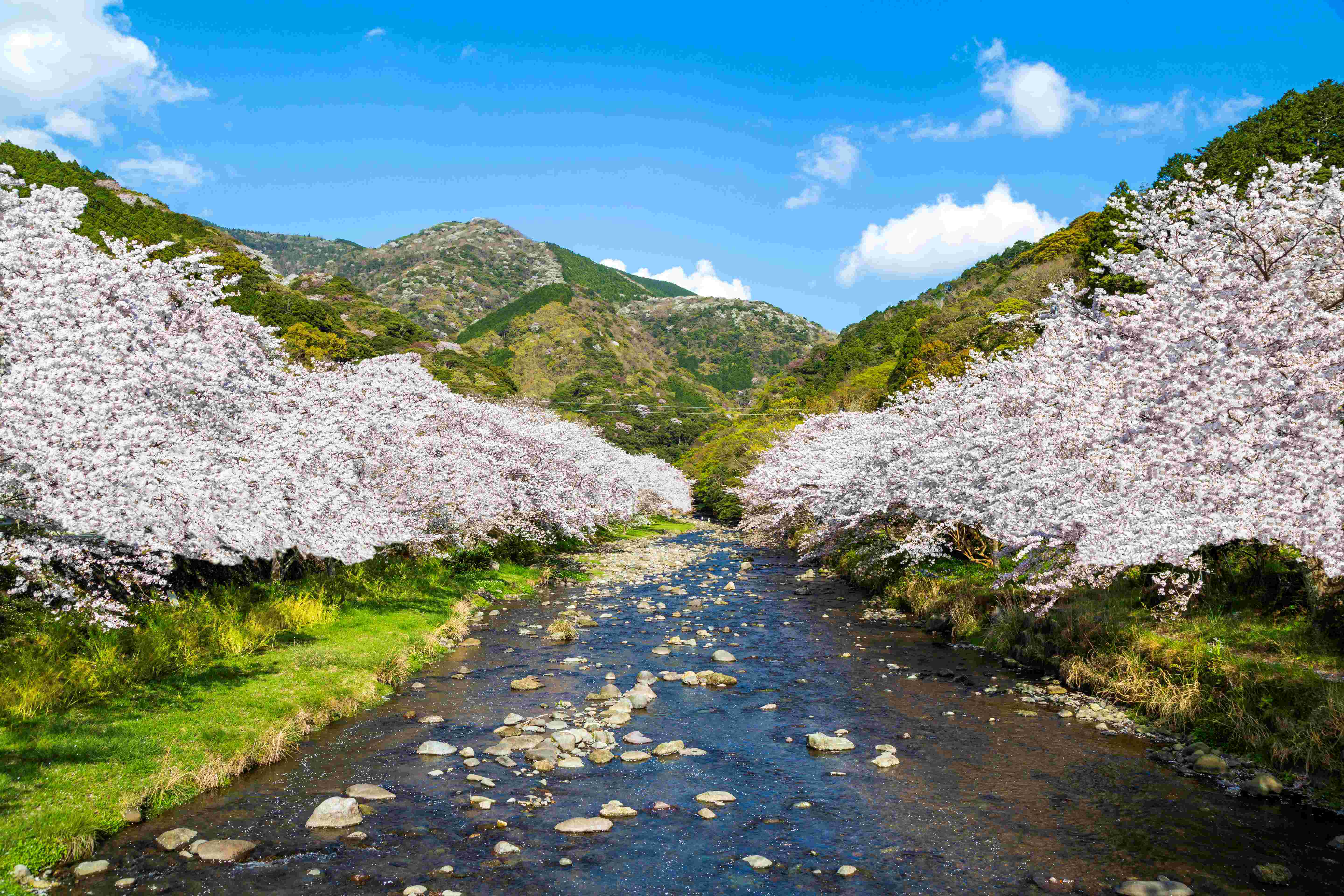 �f�G�ȏu�Ԃ��L���b�`�I����E���ɓ��o�X�c�A�[