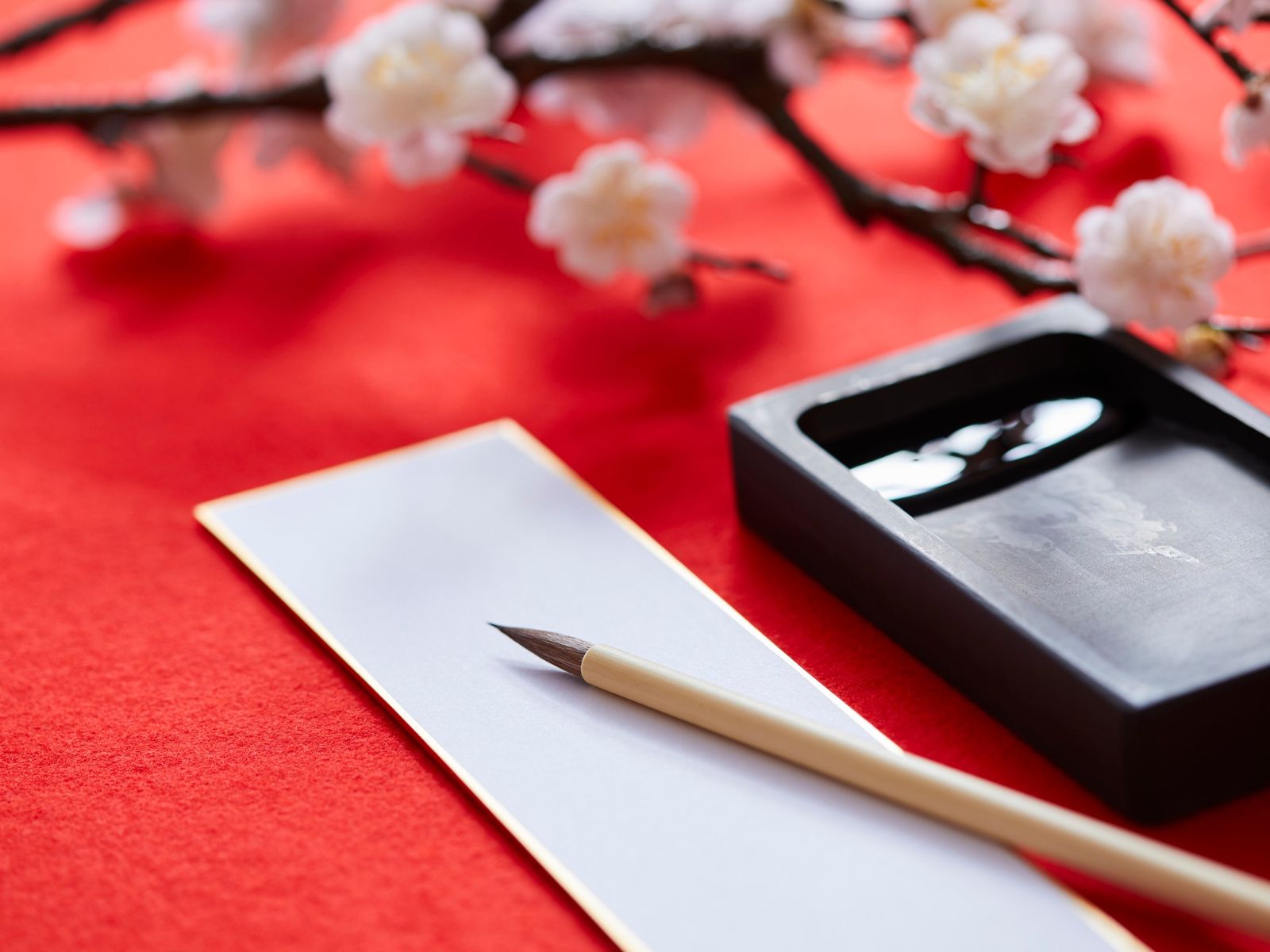 �q�̌��r�������̂��������@(3/17)