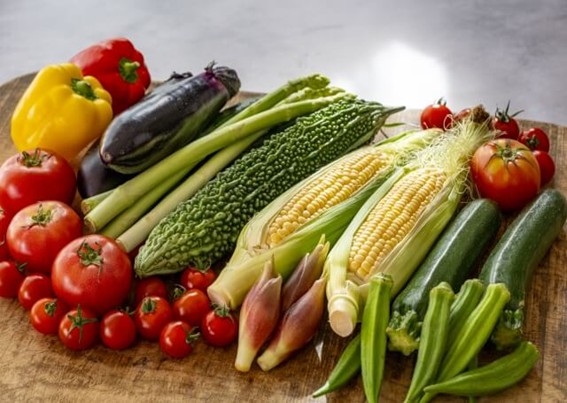 �a�ؖ�V�@�G�߂̗{�����͂�i5/24�j