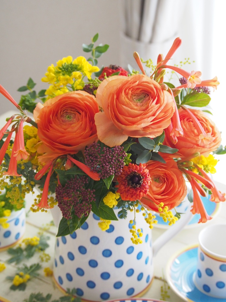 �y4�����z���₵�̉�