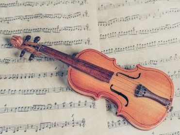 �y�̌��z�͂��߂Ẵo�C�I�����i6/6�j