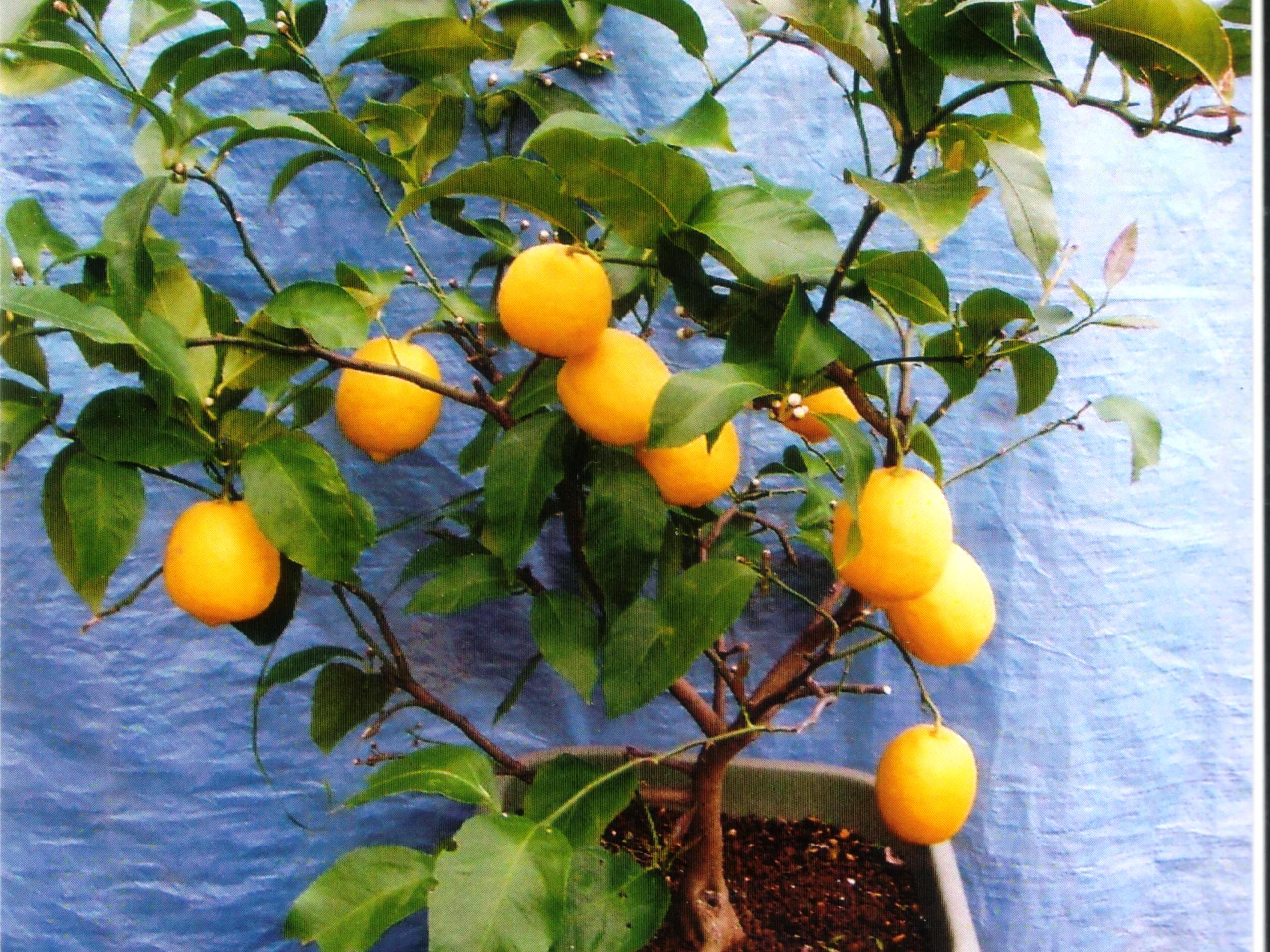 ���A���������`�N�Ԃ̈�ĕ����w�ԁ`�i6/22�j