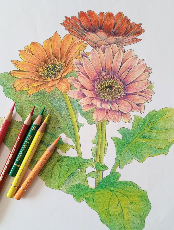 �y�̌��u���z�₳���������F����҂�