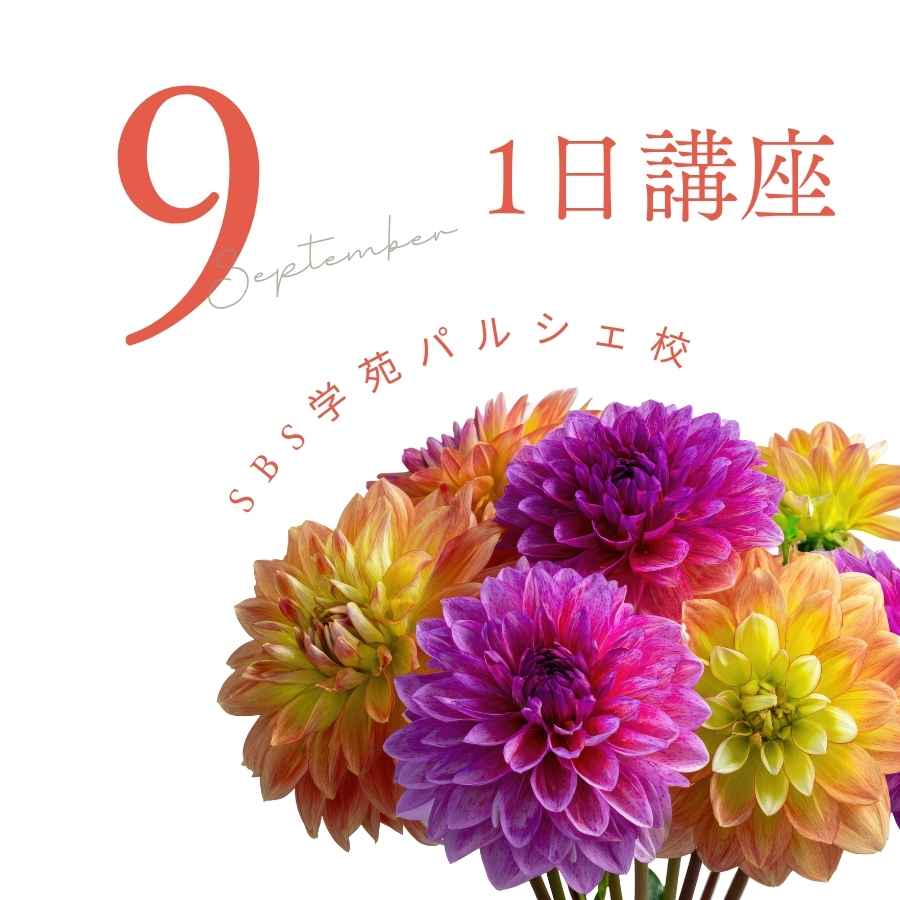 �y9���z�p���V�F�Z1���u���ꗗ
