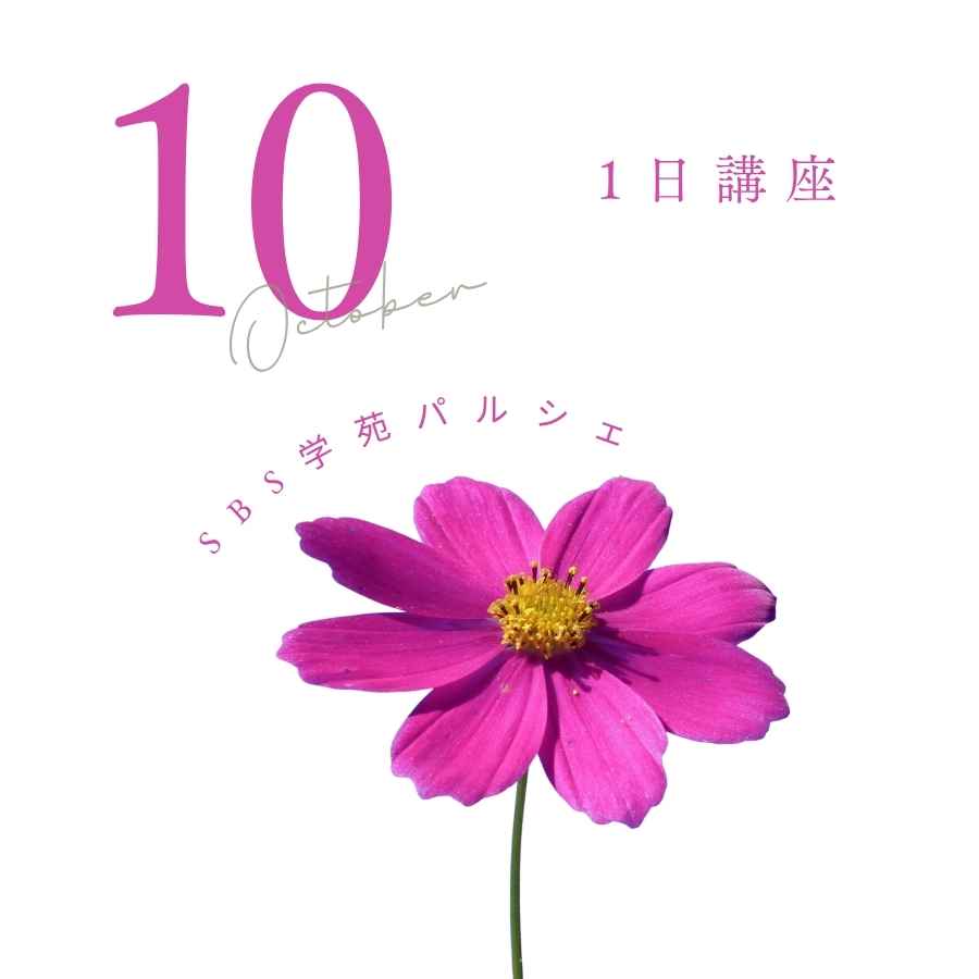 �y10���z�p���V�F�Z1���u���ꗗ