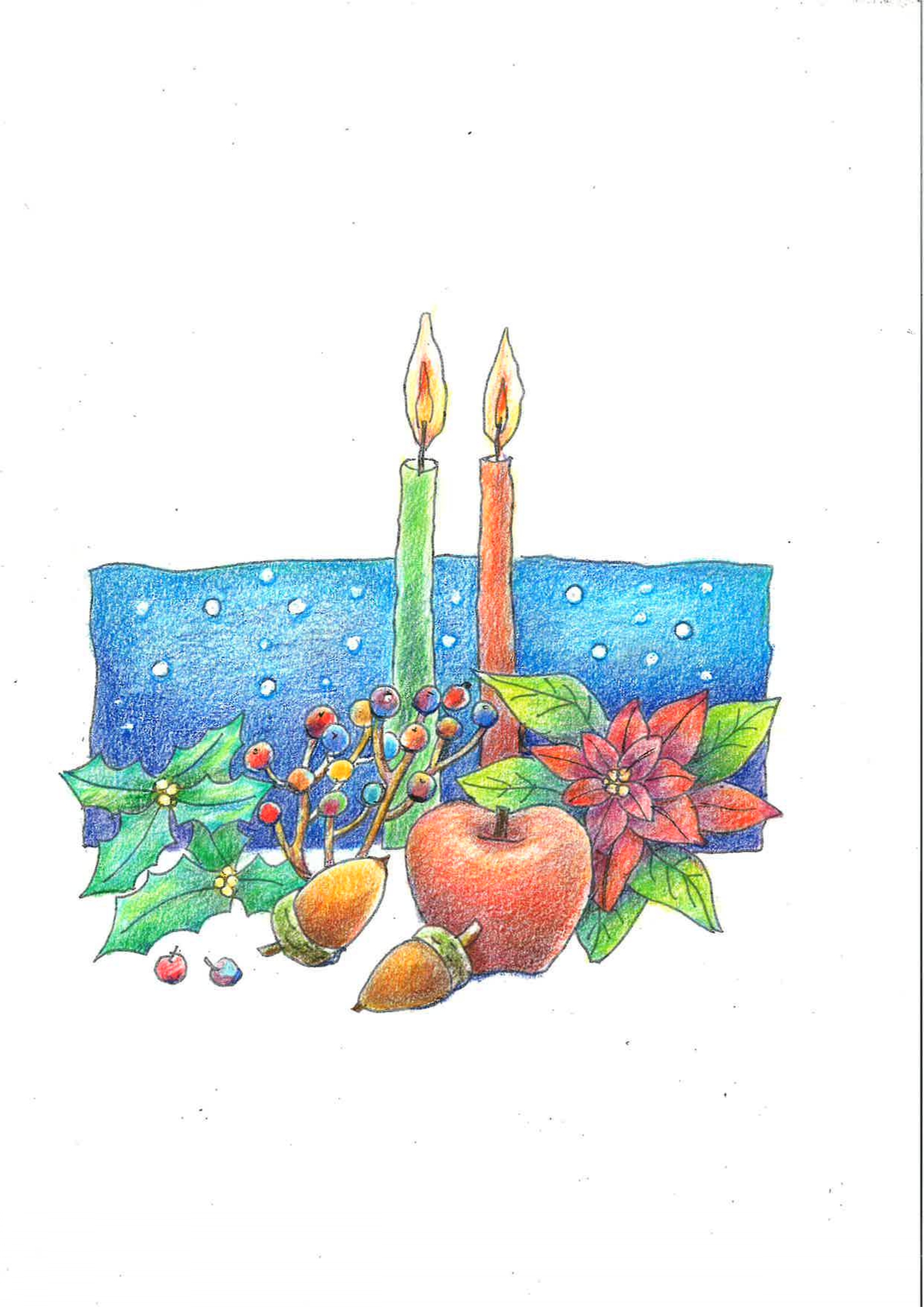 �F���M�Ŋy�����`����(12/2)